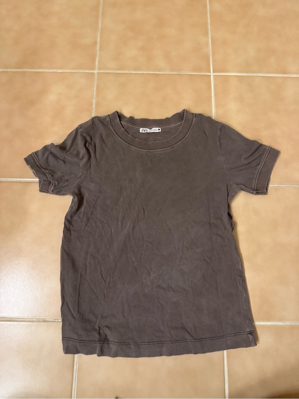 Zara Dark Brown Short Sleeve Crewneck Tee